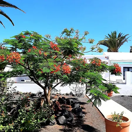 Justina 1 Playa Blanca (Lanzarote)